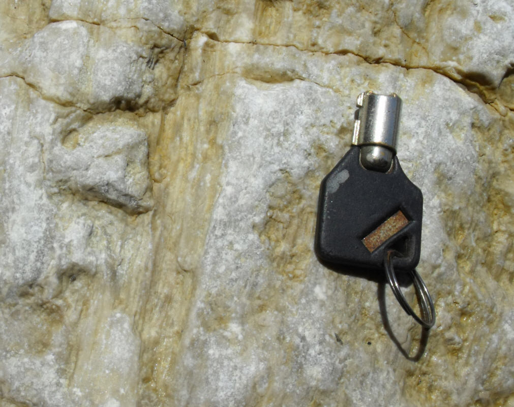 Minerale o fossile
